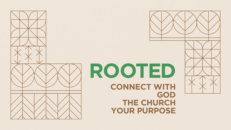Rooted